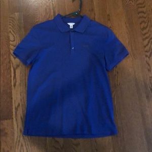 CALVIN KLEIN Collared Shirt